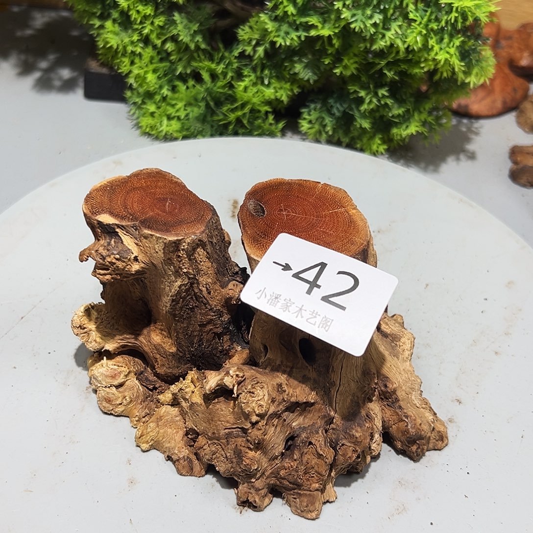 茶***轩香榧木火琉璃……火琉璃