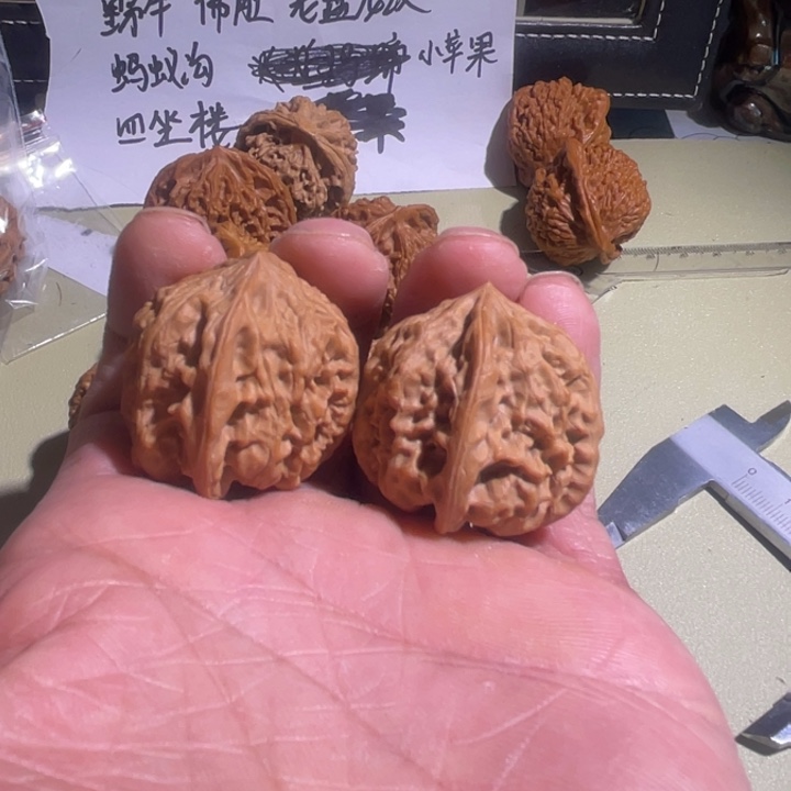 文玩核桃把件?****野牛