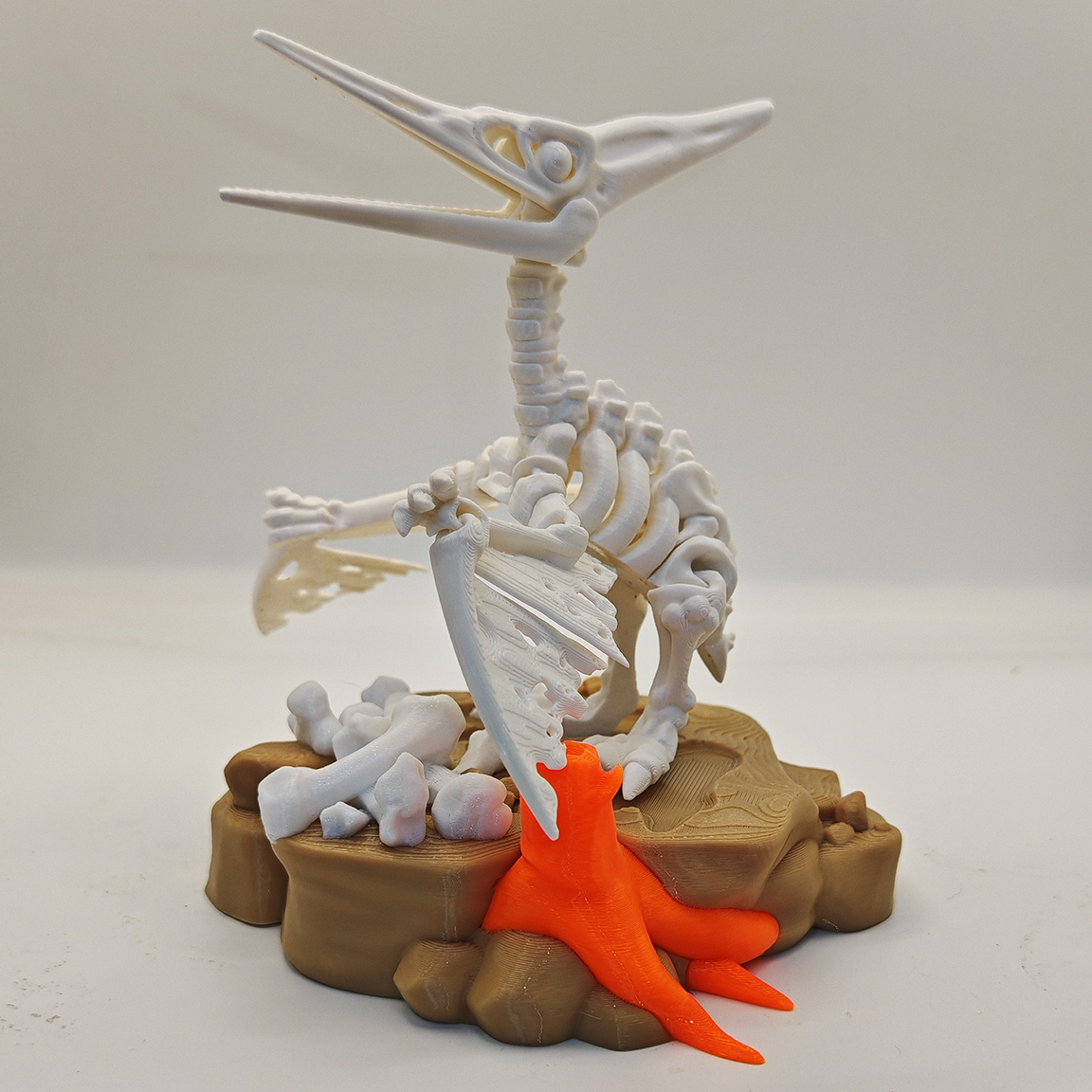 3D打印翼龙骨架恐龙化石模型仿真动物科教古生物创意礼物装饰