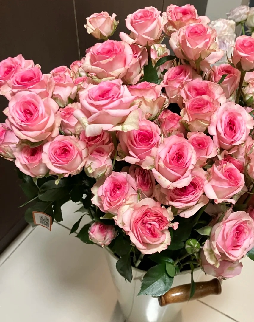 【香羿鲜花】如梦多头玫瑰10支/全场任意两单及以上包邮