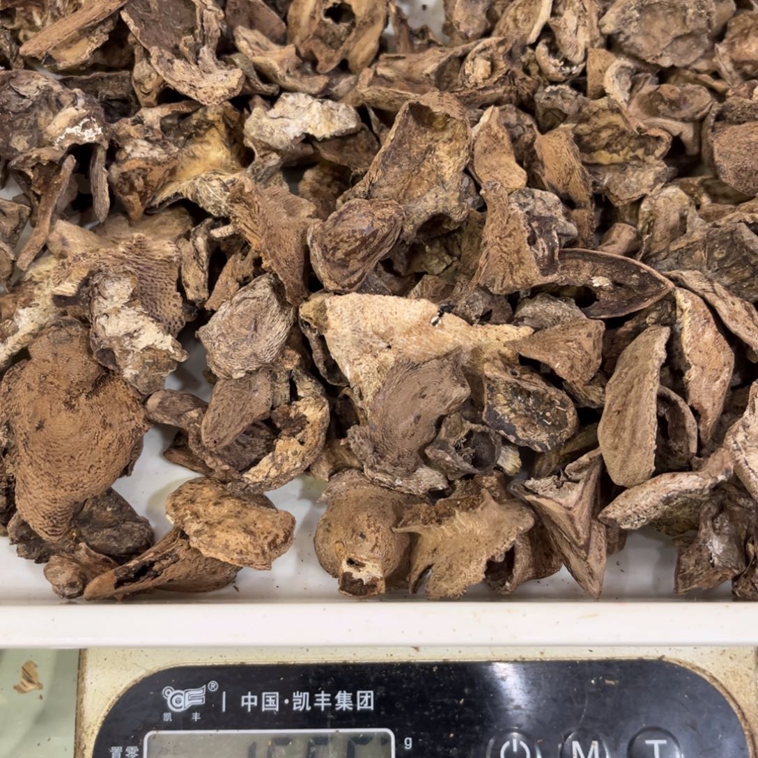 长***移沉香摆件沉香红土小包壳166
