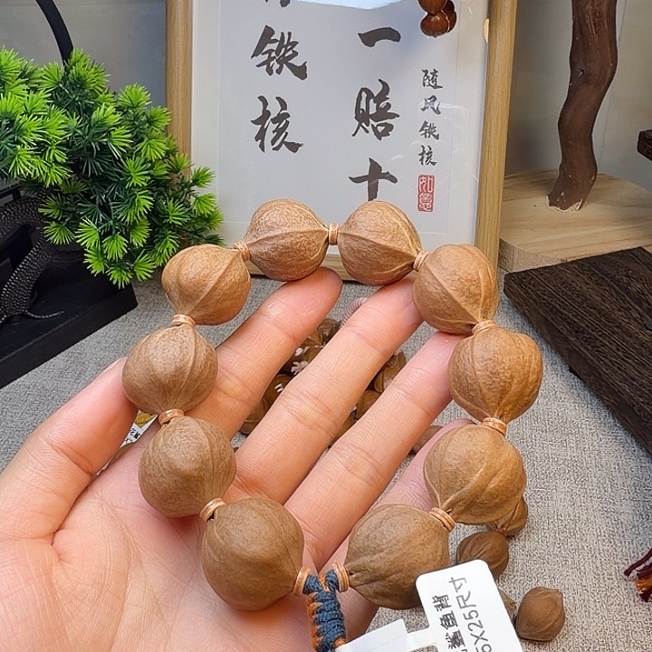 南***哥其他橄榄核梅林铁核23525尺寸