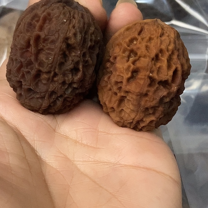 把件文玩核桃云南铁核桃基地2
