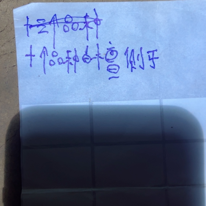 念**字十个品种白檀侧芽20