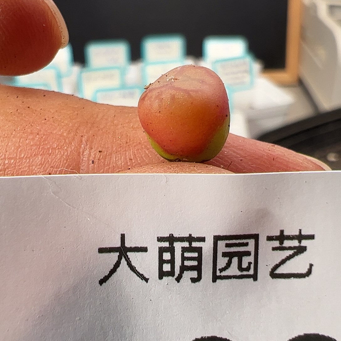 0000133 一物一拍……