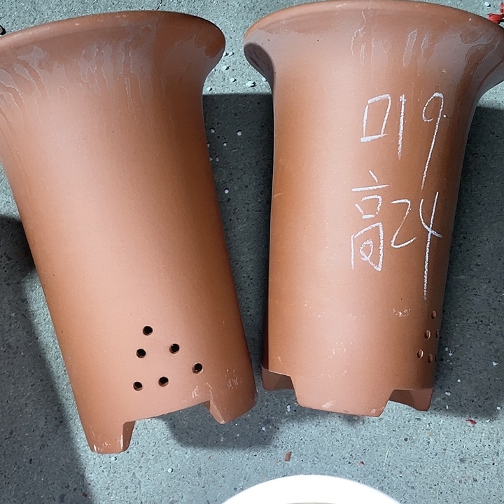 红陶紫砂紫砂紫砂