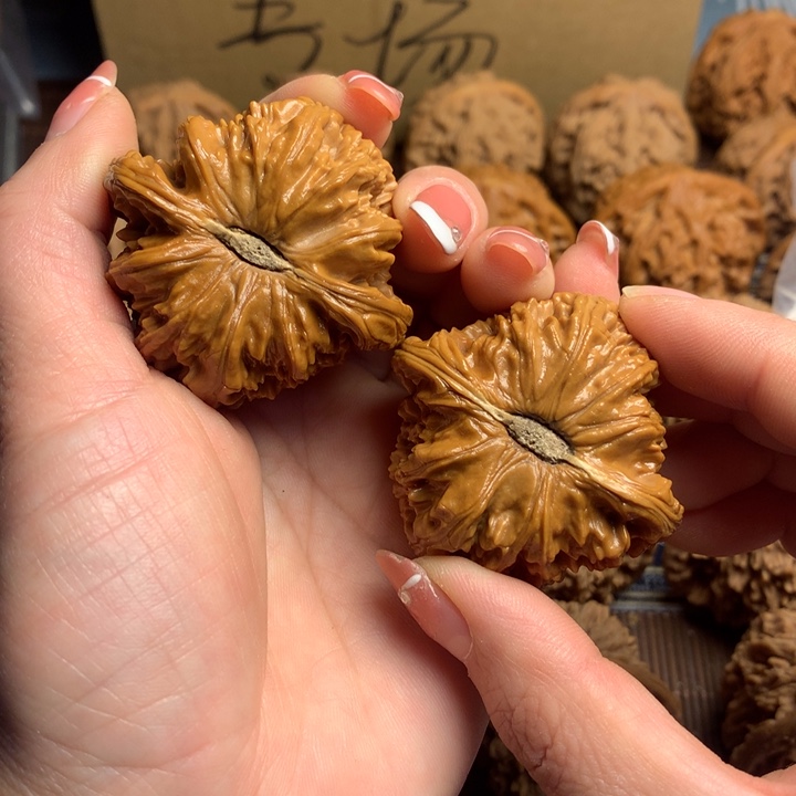 吊坠文玩核桃番****柿粗筋