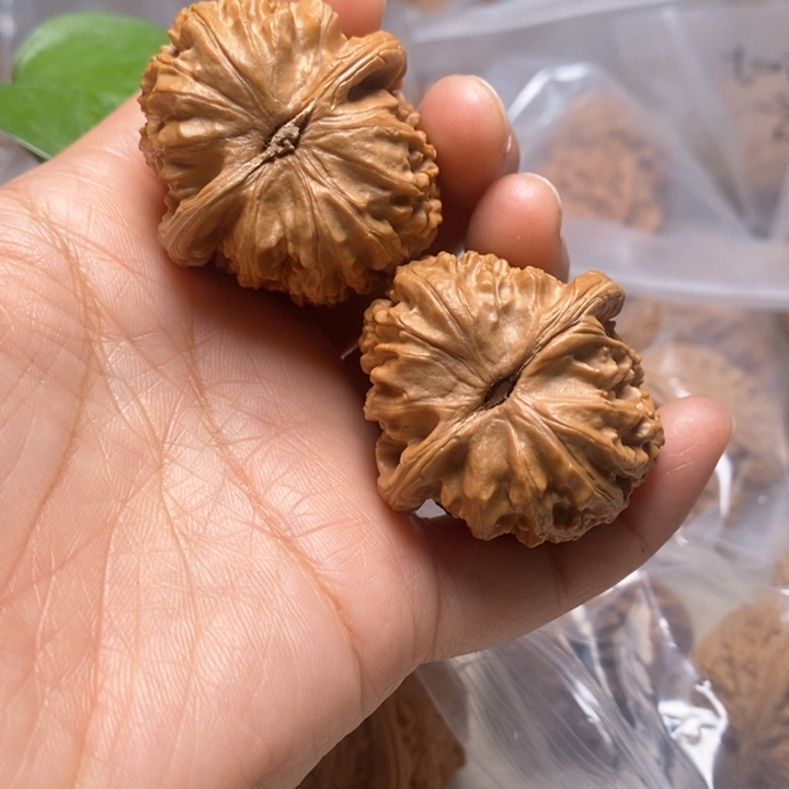 文玩核桃把件白狮子