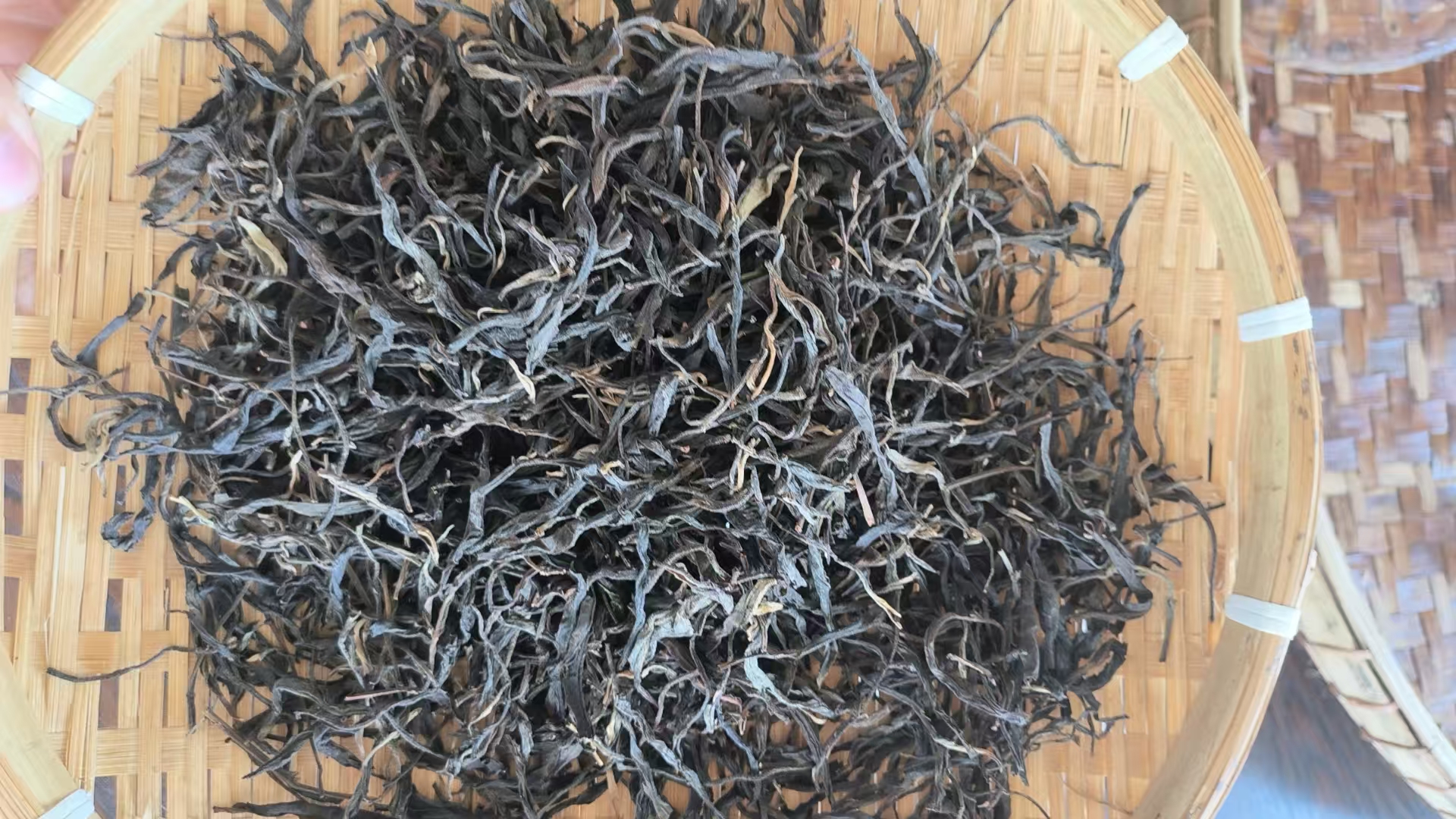 2025年缅缅果敢楂子树古树散茶GHJS561FK894-199