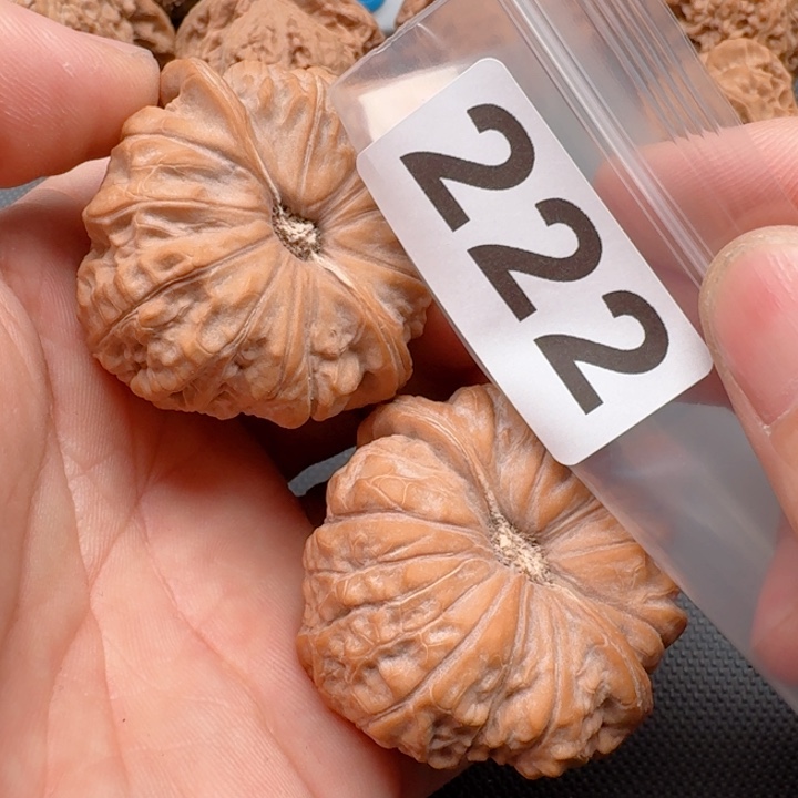 文玩核桃把件每**碌南瓜墩46