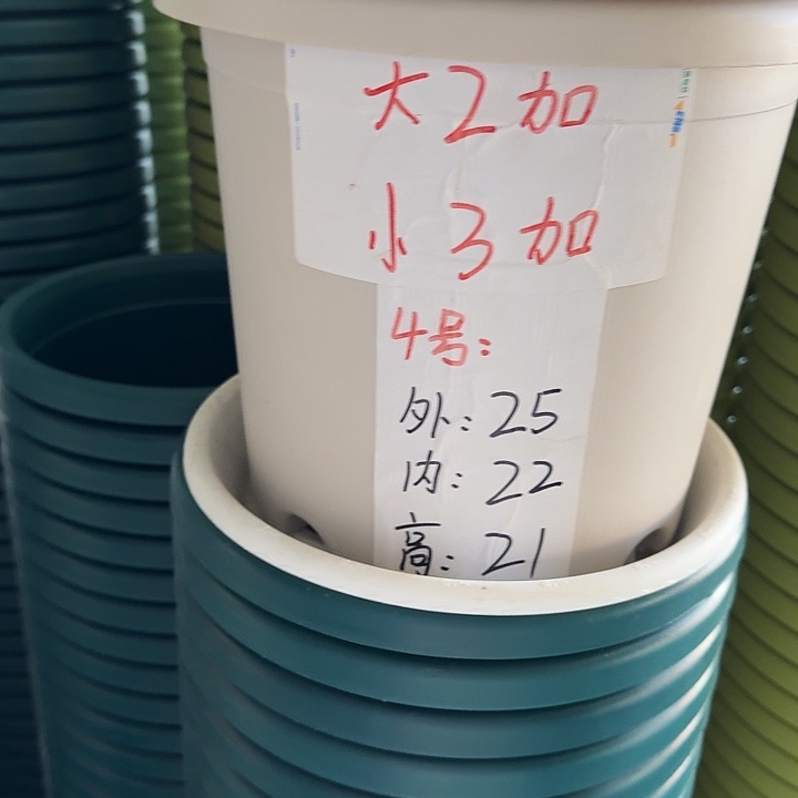 四季4号灰白无托10个