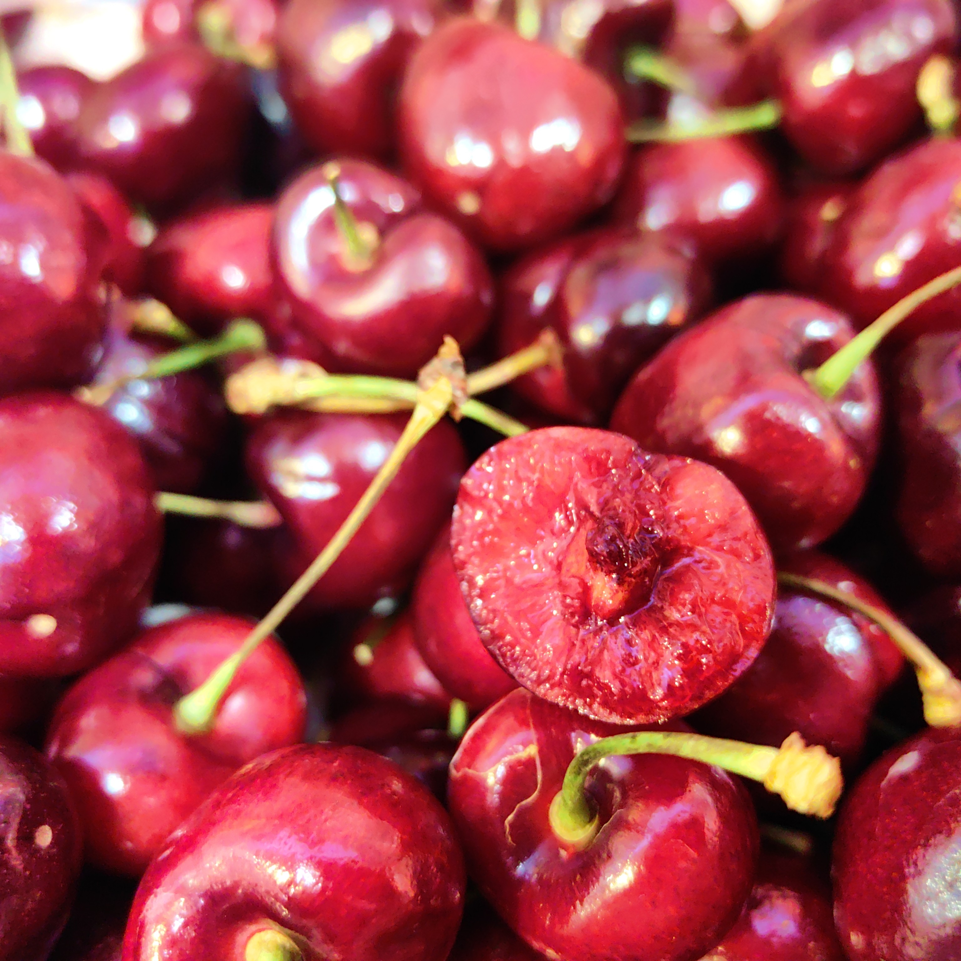 智利海运车厘子｜J｜级别1000g两斤装39.6元一份智利