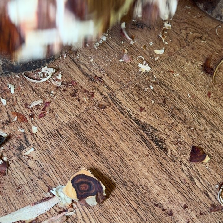 壶***徒木海南，海北飞灰尘。甘受商于仪诳楚