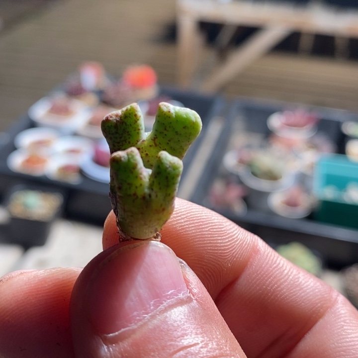 17257一个一个一个