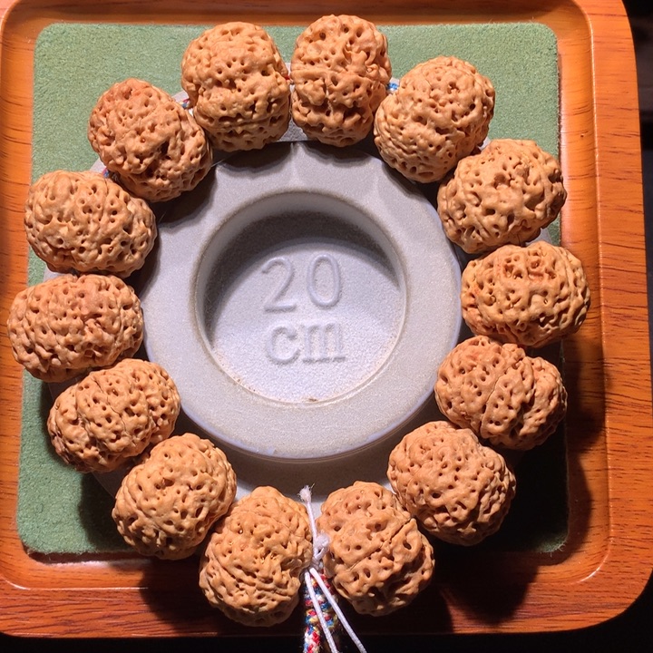 金刚菩提手串25+顽石满肉