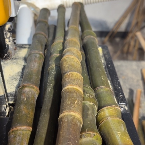 孩***爷实心竹竹竹竹竹竹竹竹竹