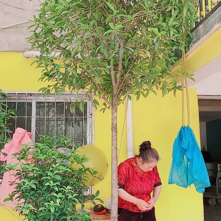 J***o完全开放8左右金桂