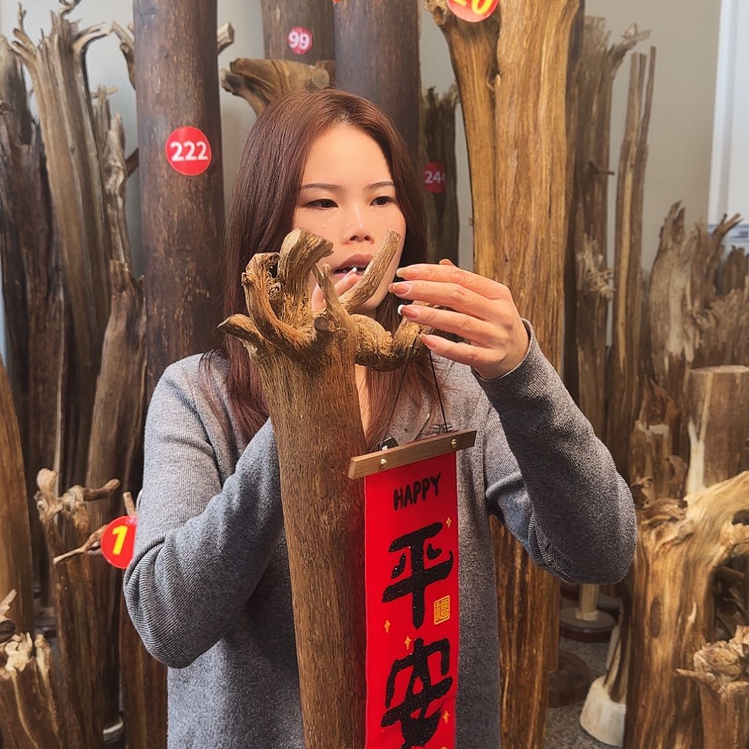 沉香摆件天然沉香原木摆件➕底座