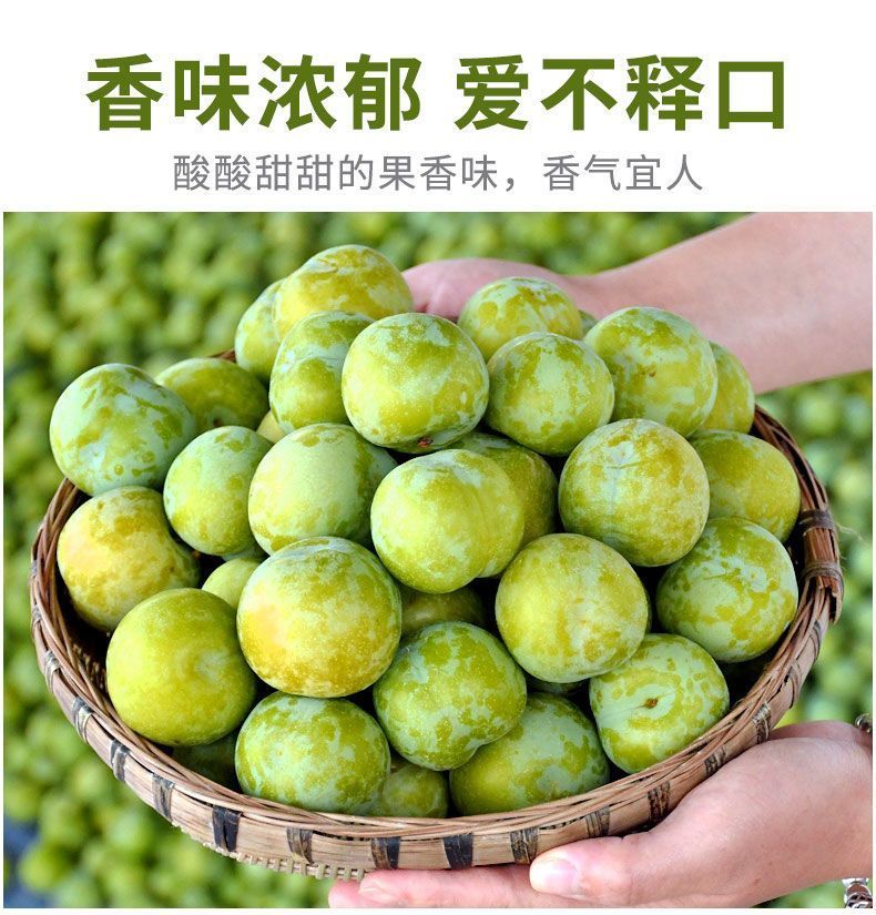 重庆高山青脆李脱骨李新鲜甜脆多汁应季应季水果农家种植产地直发