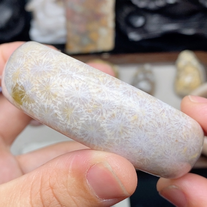 硅化珊瑚（珊瑚玉）未镶嵌手镯60