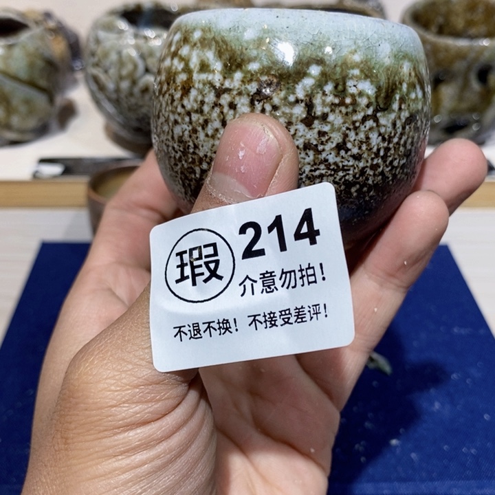 茶盏啦啦啦啦啦啦啦啦啦啦214