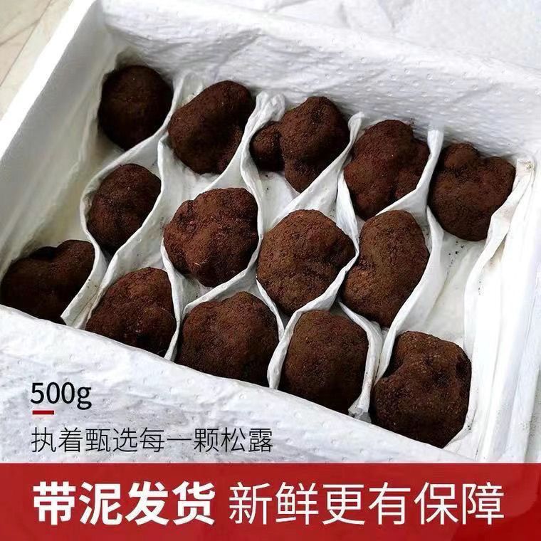 2025云南野生松露一物一拍虫眼，破损，茶白茶黑，都有不包邮母的