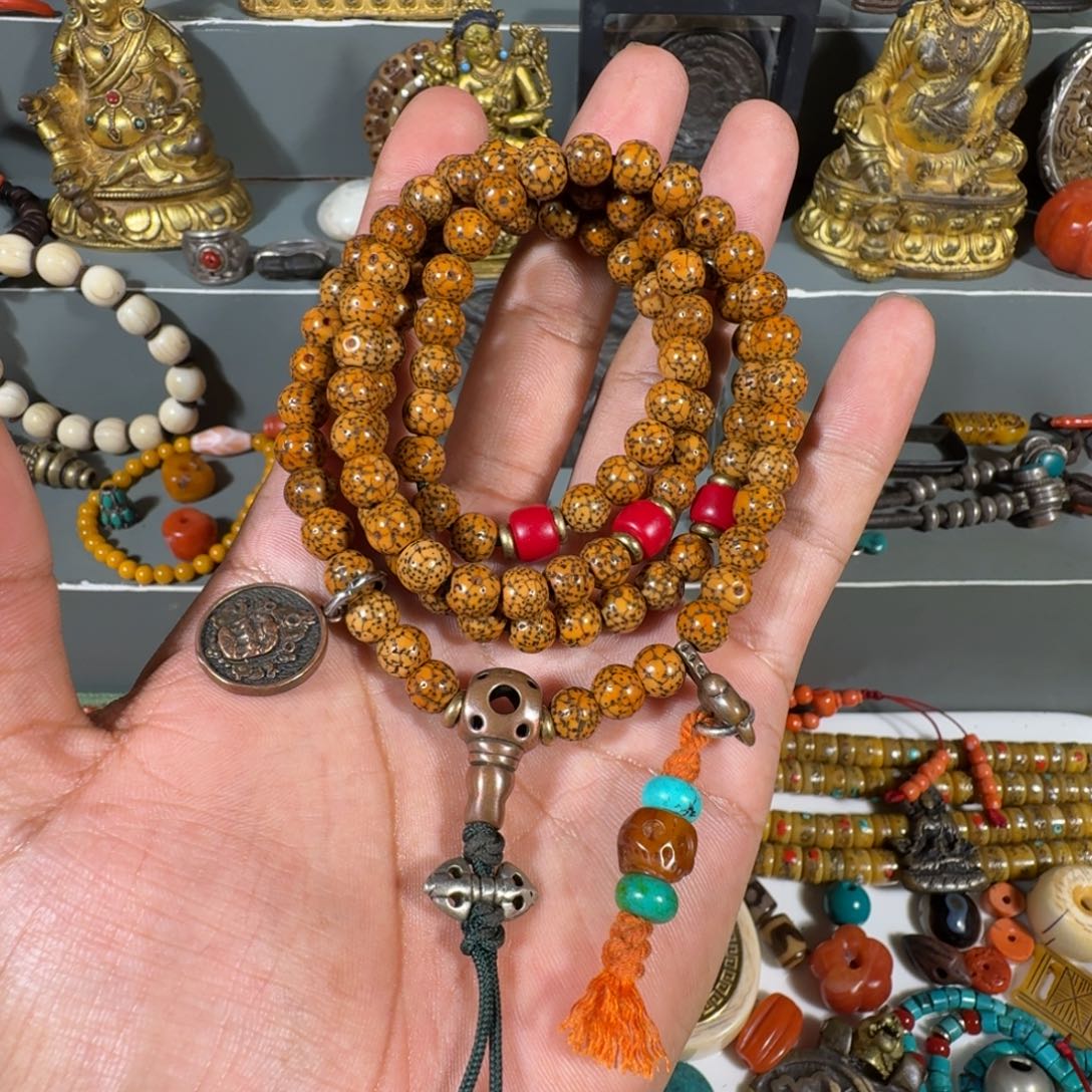 香榧木星月菩提的