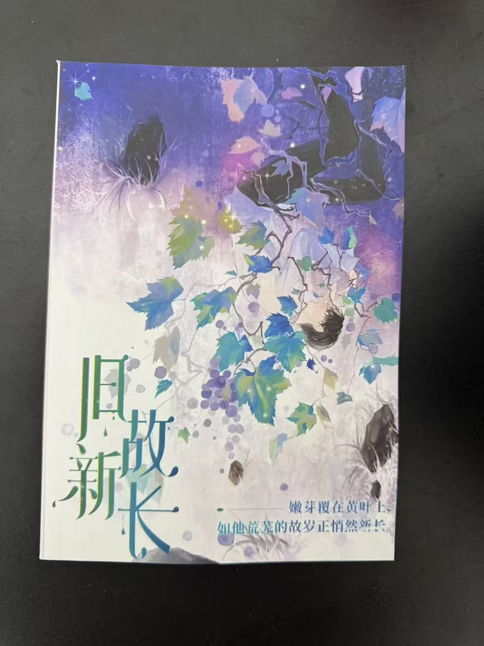 旧故新长    无删减  实体书 