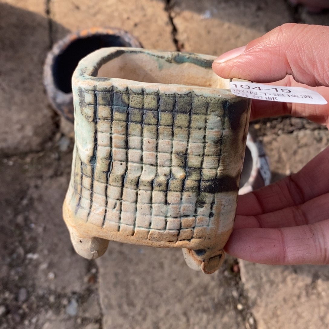 19号多肉盆口径5一卌