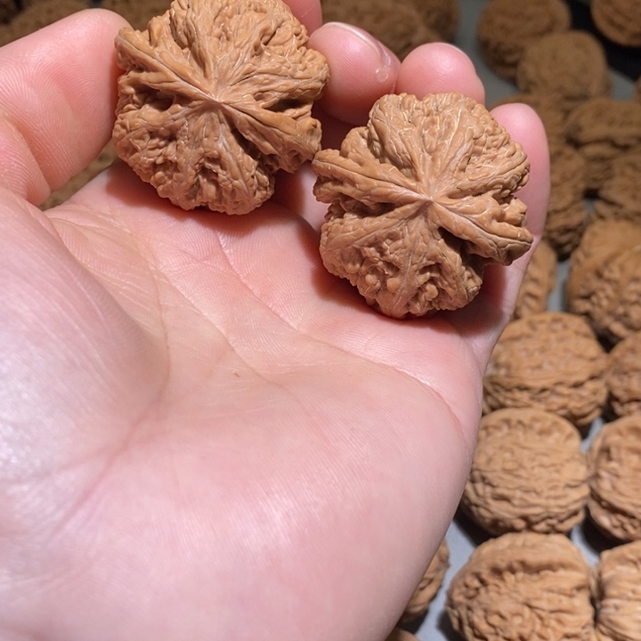 文玩核桃吊坠大粗筋