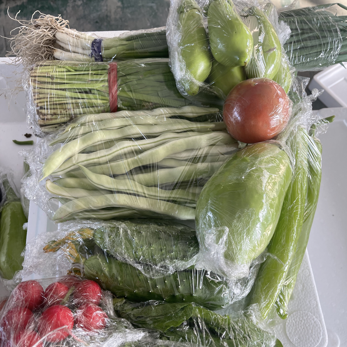 蔬菜大礼包 蔬菜礼盒包邮