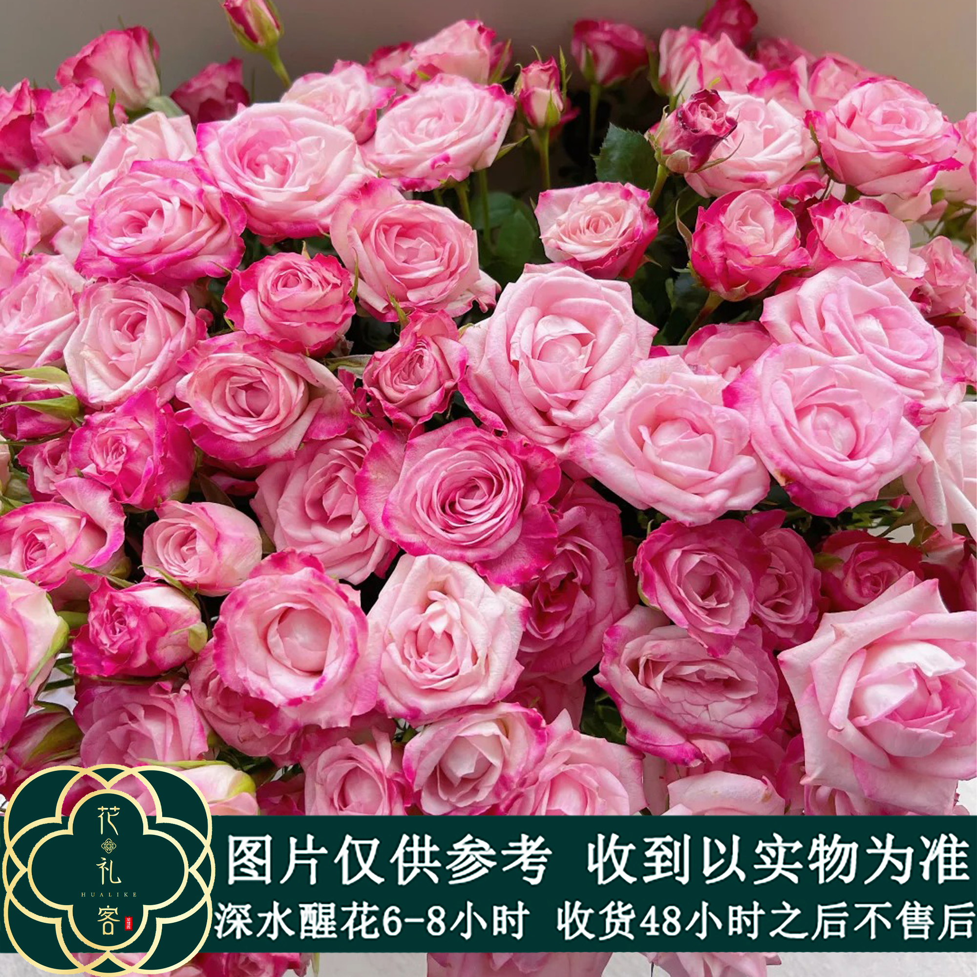 花礼客#多头玫瑰 【浪琴】稀有小众鲜切花 顺丰直发 玫瑰花养护