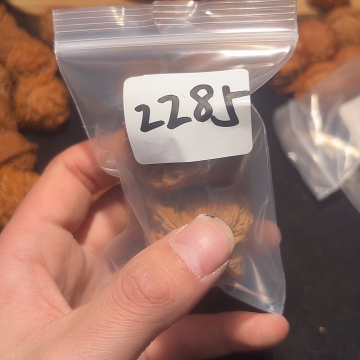 我***王把件文玩核桃43 尺  南疆石    2285