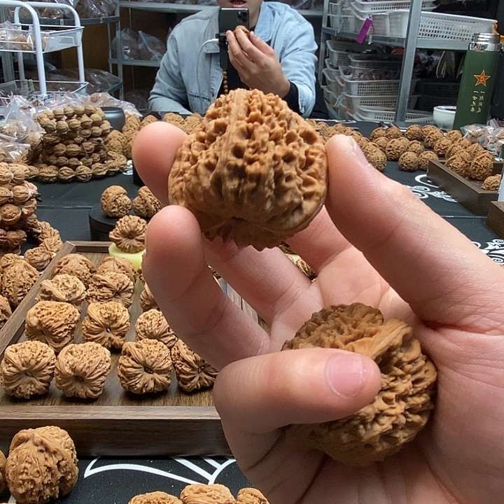 下***見大叶紫檀（黑酸枝木类）南疆