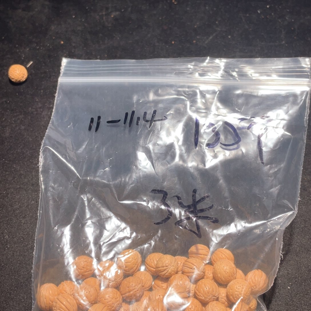 【闪购商品】黄**两散子批发180米