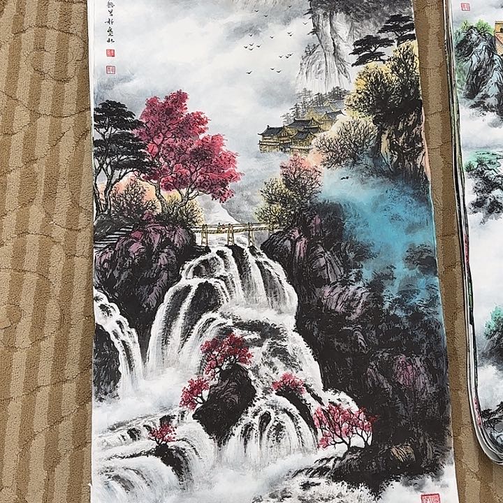 国画用****9花鸟的翅膀是白色和白色