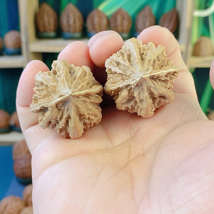 文玩核桃吊坠舒兰灯笼36肚