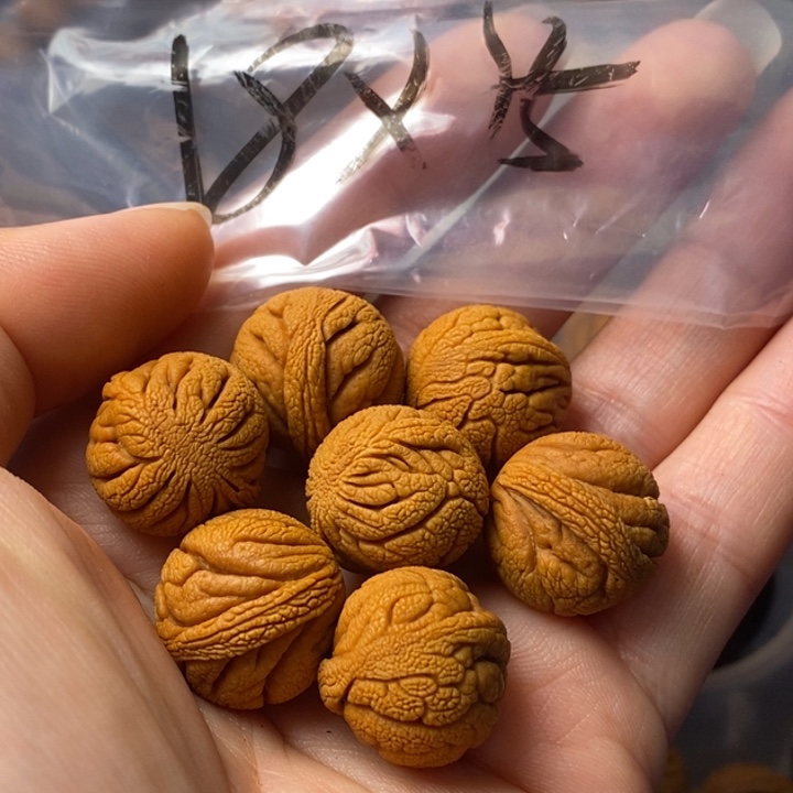 文玩核桃手串秦岭野生龙纹桃核18