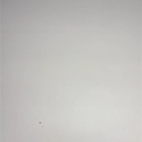 【闪购商品】茶盏-388............