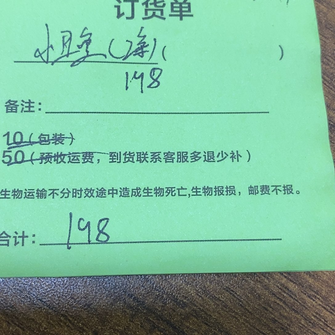 海水鱼小丑鱼两条