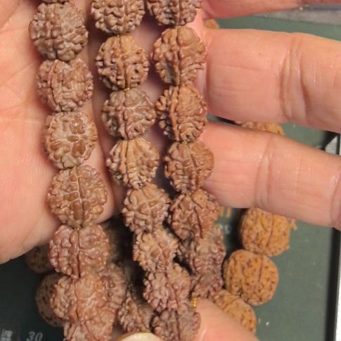 金刚菩提把件龙骨梅花大金刚手持，12左右的，精挑细选