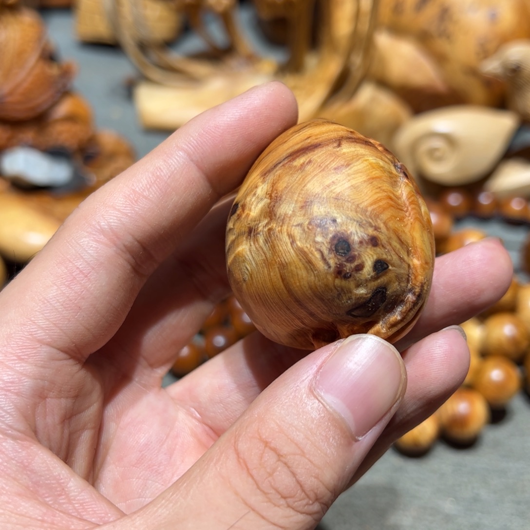 柏木（崖柏）北太行陈化崖柏