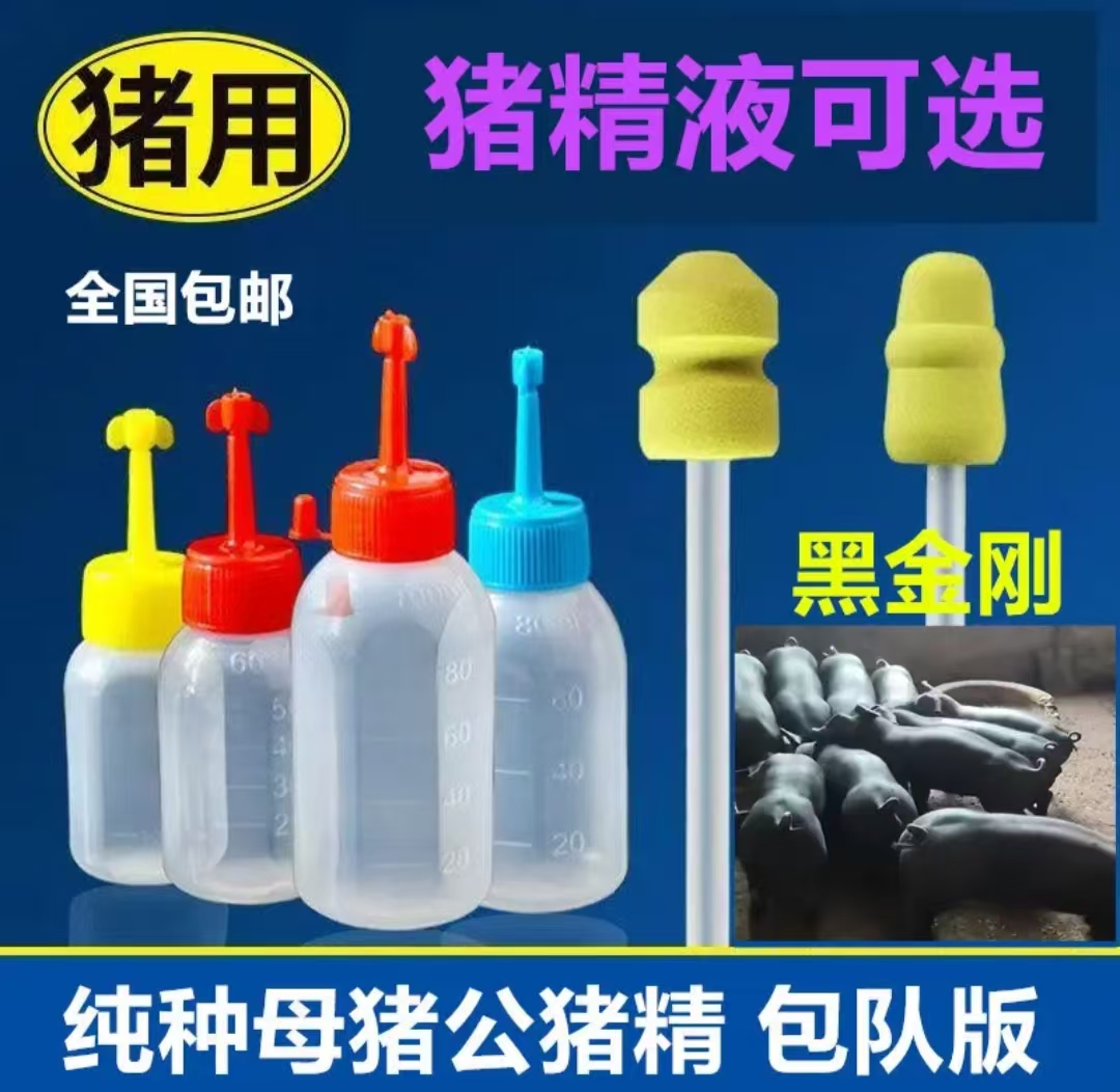 黑金刚种公猪精液包邮包对版生态养殖批发