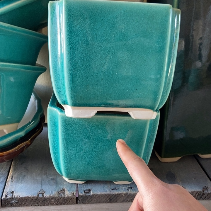 花盆花盆花盆花盆