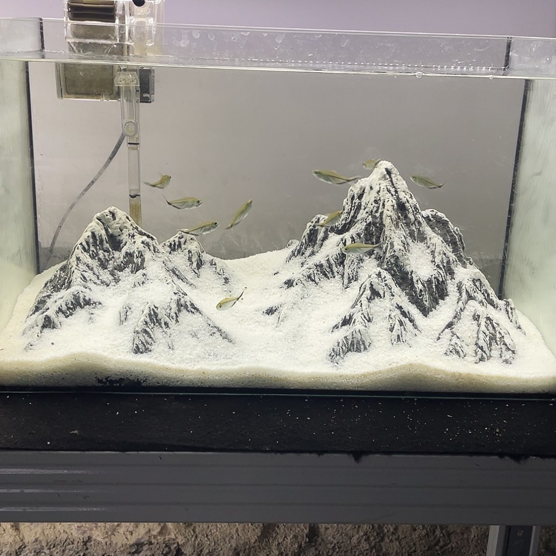 方一号链接大号景49长包邮