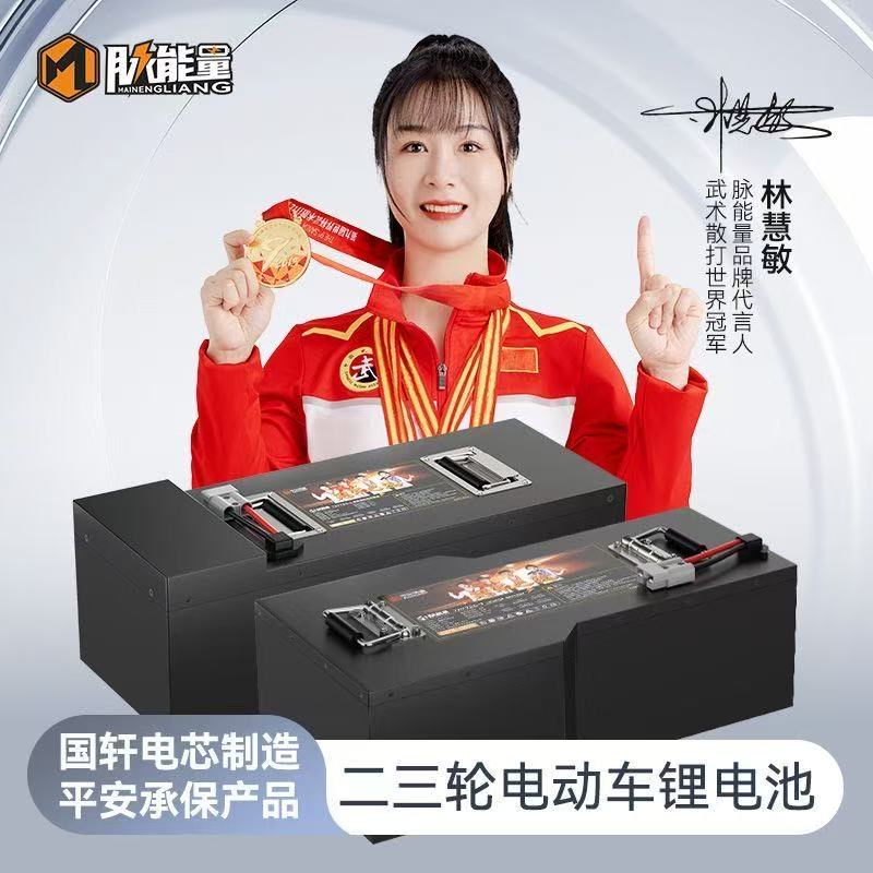 60伏72伏大容量磷酸铁锂两三轮电动车长续航锂电池带蓝牙