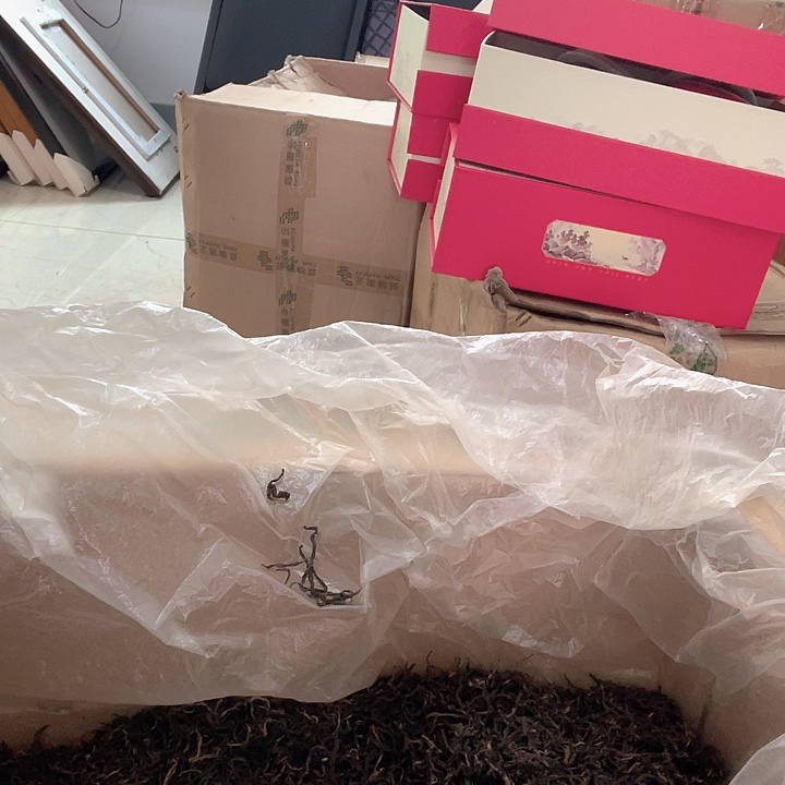 国画红茶白茶茶品试喝