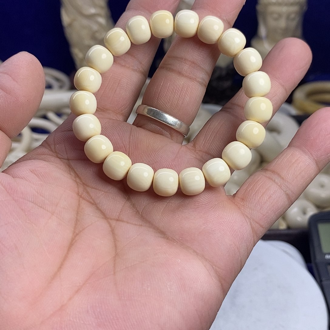 手串/手链贝壳一****世猛犸牙
