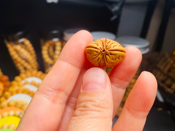 24mm连体桃核双棒儿一物一图