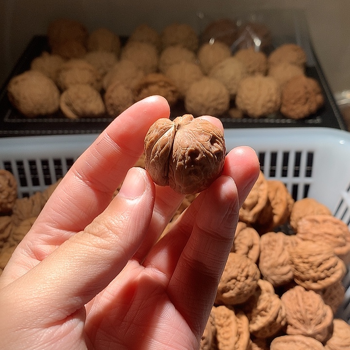 蛤***人吊坠文玩核桃元宝